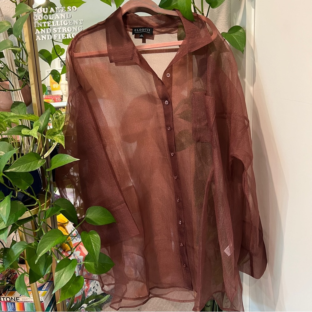 Brown sheer button up top - Picture 6 of 6